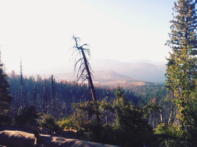 Yosemite National Park