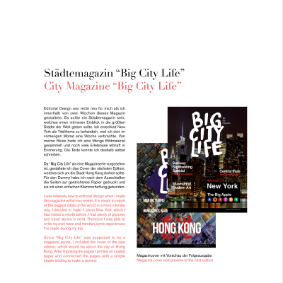 Portfolio page, Big City Life
